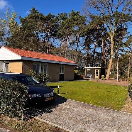 Fijne Plek Met Eigen Bos 2000M2 En Gratis Linnen En Handdoeken!! Denekamp Ngoại thất bức ảnh