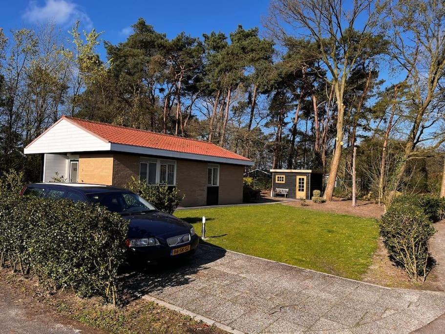 Fijne Plek Met Eigen Bos 2000M2 En Gratis Linnen En Handdoeken!! Denekamp Ngoại thất bức ảnh