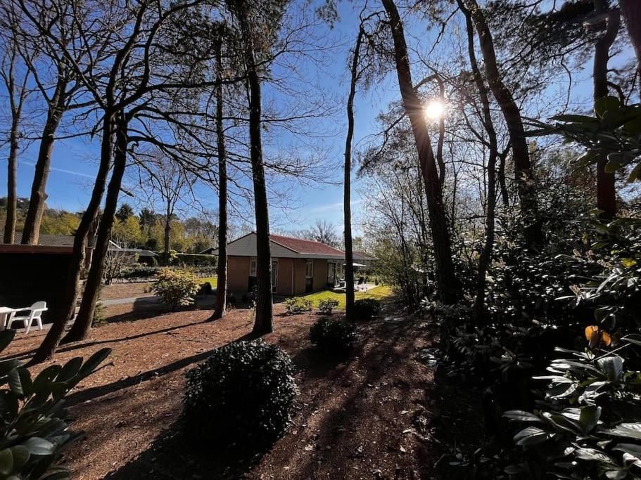 Fijne Plek Met Eigen Bos 2000M2 En Gratis Linnen En Handdoeken!! Denekamp Ngoại thất bức ảnh